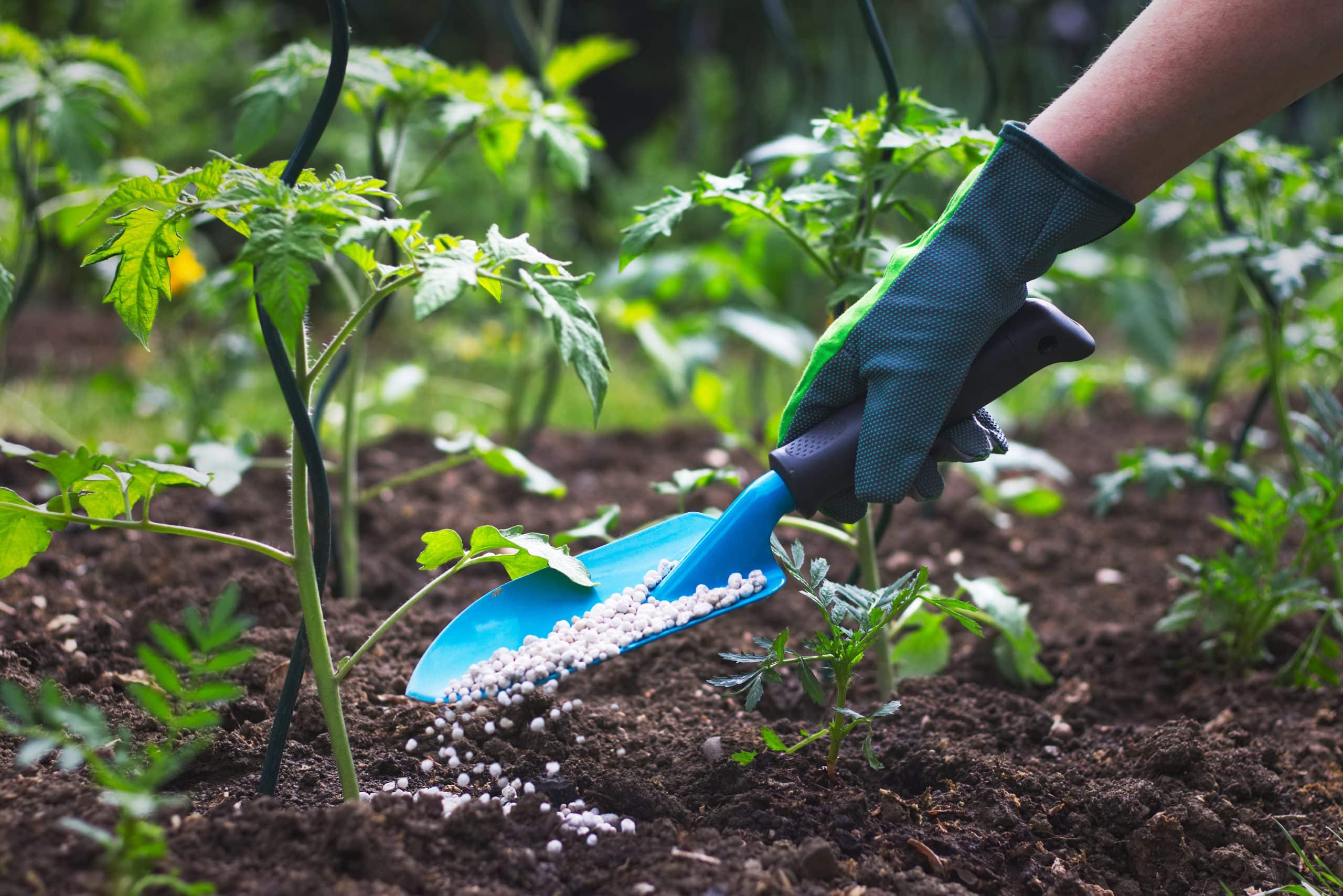 Fertilizantes